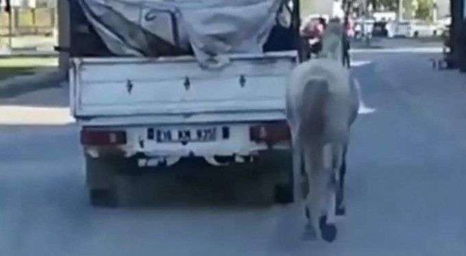 O sürücü cezasız kalmadı