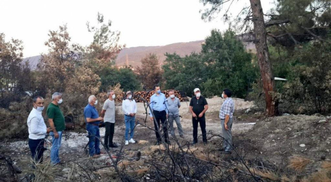 Nilüfer'de ağaç seferberliği başlıyor