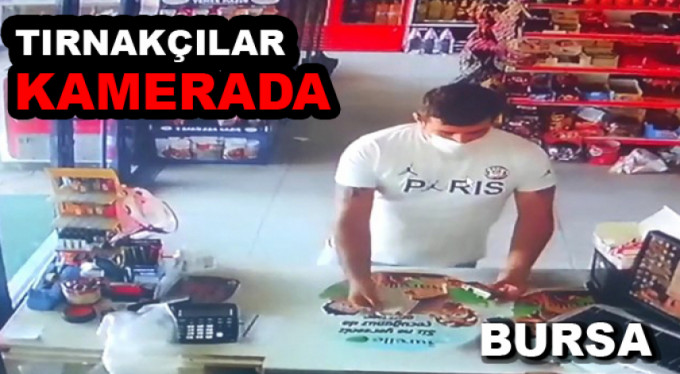 Tırnakçılar kameraya böyle yakalandı