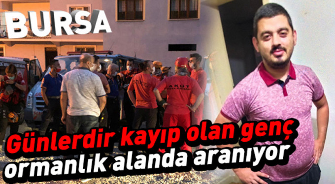 Bursa'da ekipler ormanda onu arıyor