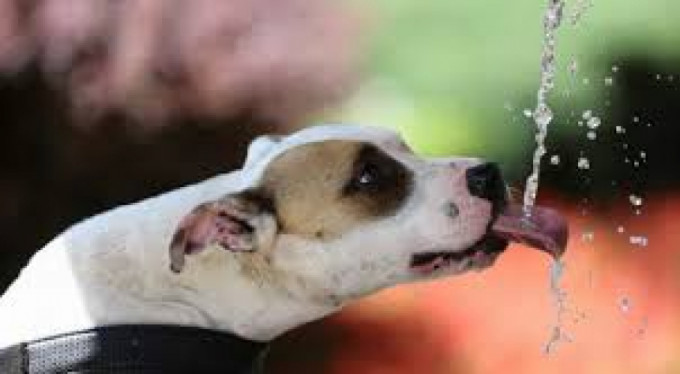 Bursalılar dikkat...Bunalacağız