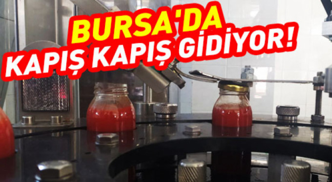 Üniversiteden organik imalat