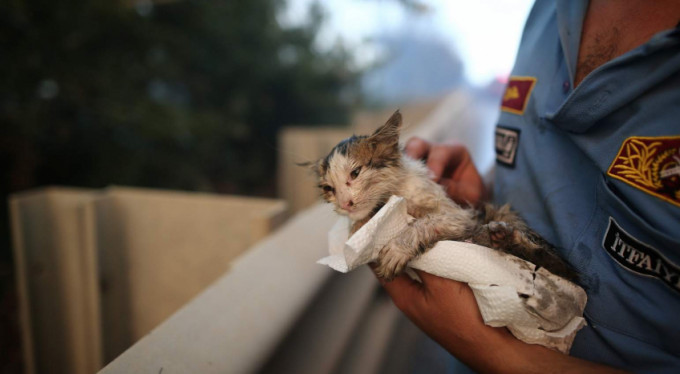 Bursa İtfaiyesi yangında bir canı böyle kurtardı