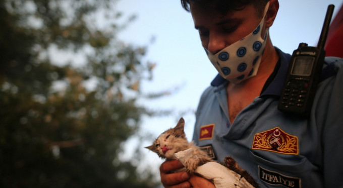 İtfaiyecinin kucağında hayat buldu