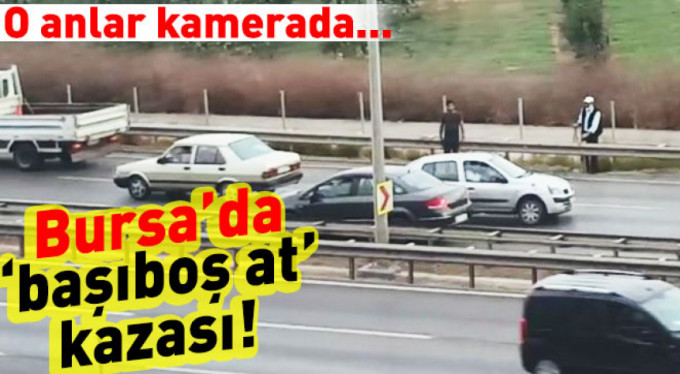 Bursa'da başıboş at böyle kaza yaptırdı