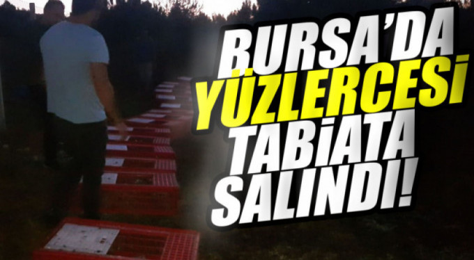 Binlercesi özgürlüğüne kavuştu