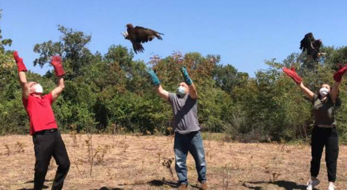 Özgürlüğe böyle kavuştular