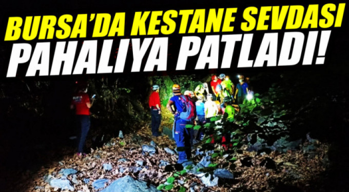 Bursa'da şelalede can pazarı