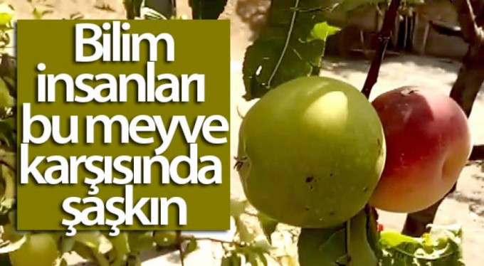 Bilim adamlarını şaşırtan görüntü