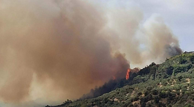 Arıları tütsülerken ormanı yaktı