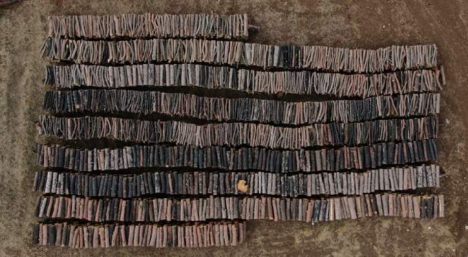 Bursa'da onbinlerce ağacı tek tek kestiler