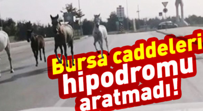 Veliefendi değil Bursa
