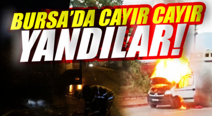 Kamyon ve minibüs alev alev yandı