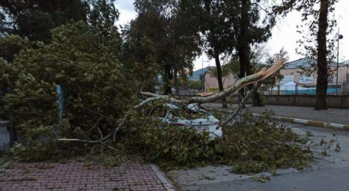 Fırtına ağaçları uçurdu