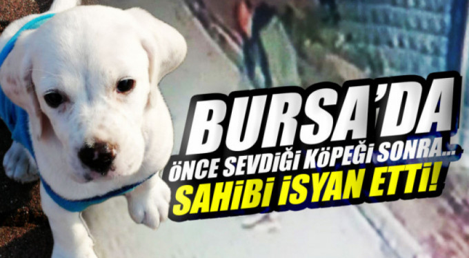 Yok artık...Önce sevdi sonra çaldı