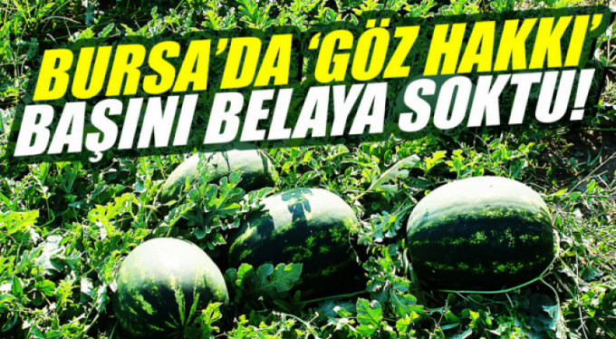 Yargıtay öyle bir karar verdi ki