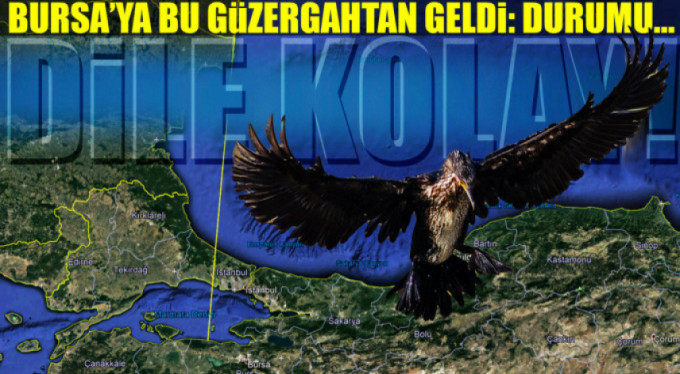 Binlerce kilometre öteden müthiş haber