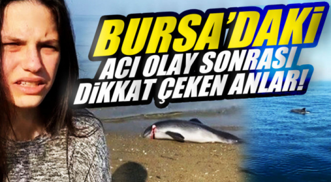 Yavrusunu öldürdüler, onlar ise bakın ne yaptı