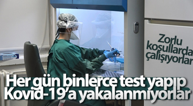 Korona savaşçıları