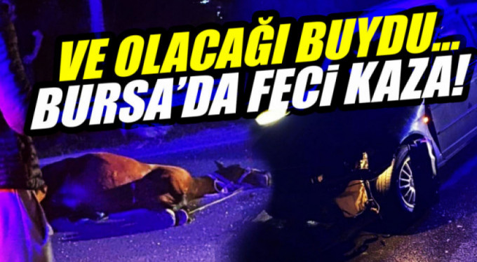 Karayolunda dehşet anları