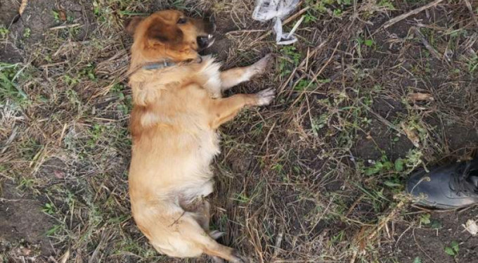 Bursa'da akıl almaz olay