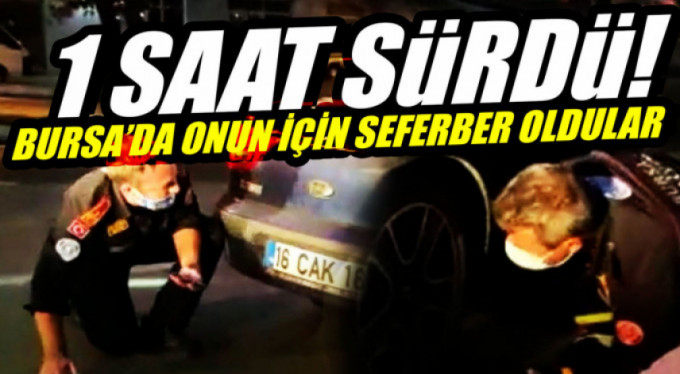 Bursa'da kedi kurtarma operasyonu