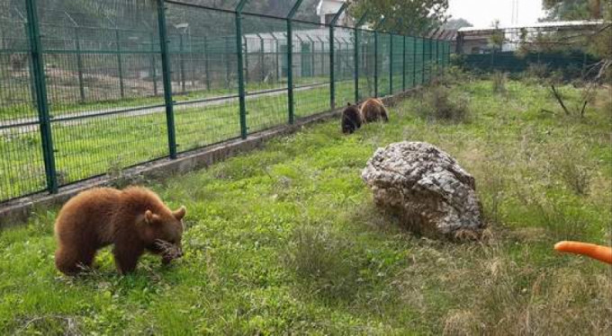 Bursa'nın maskotu oldular