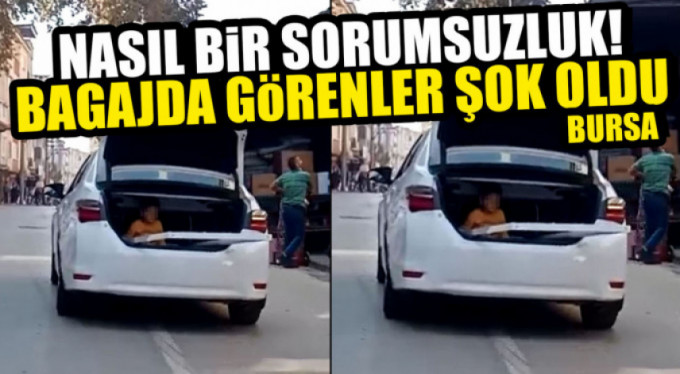 Pes dedirten görüntüler