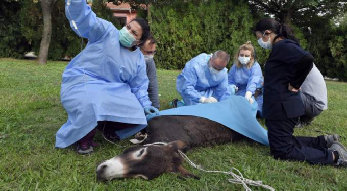 5 canı birden kurtardılar