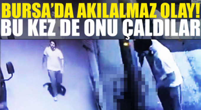 Önce sevdi...Sonrasında bakın ne oldu