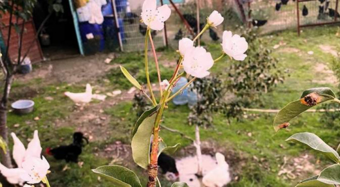 Kasım ayında Bursa'da inanılmaz olay