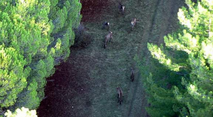 Bursa'da birer birer böyle yakalandılar
