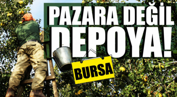 Bursa'da yetişiyor...Paraya para demiyorlar