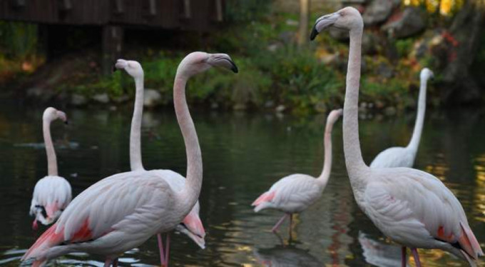 Bursa'nın en önemli mekanı  22 yaşını kutladı