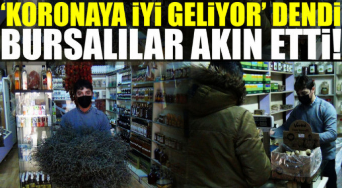 Korona satışları patlattı