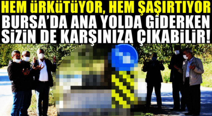 Bursa'da yok artık dedirten görüntü