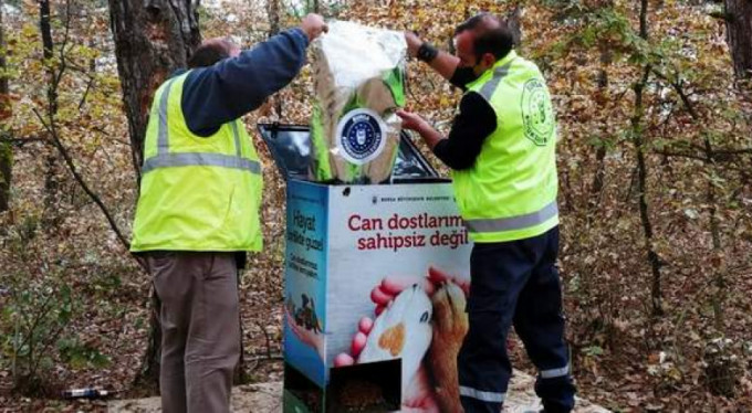 Bursa'da can dostları sahipsiz değil