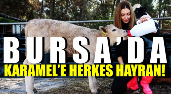 Bursa'nın maskotu oldu