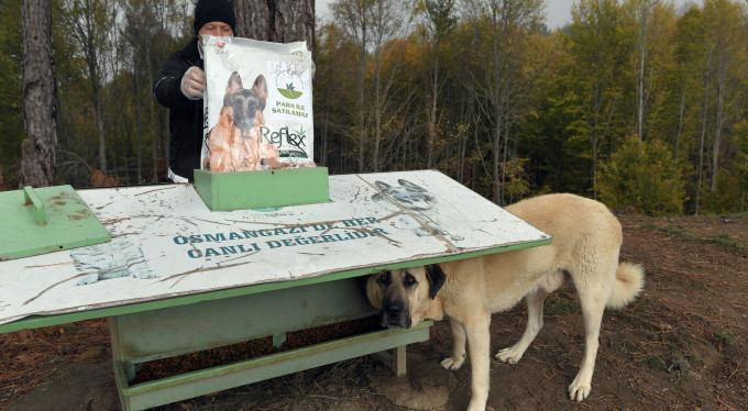 Koronavirüse Karşı Üstün Mücadele