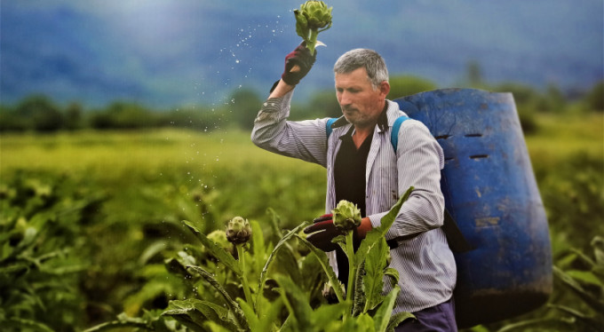 Nilüfer'in tarım arazileri mercek altında