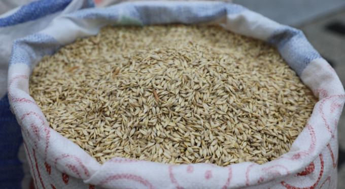 Çiftçiye 'siyez' desteği