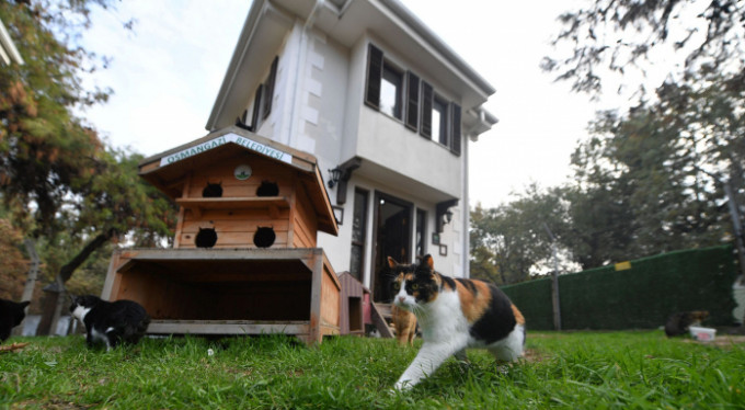 8 bin 451 can dostu sağlığına kavuştu