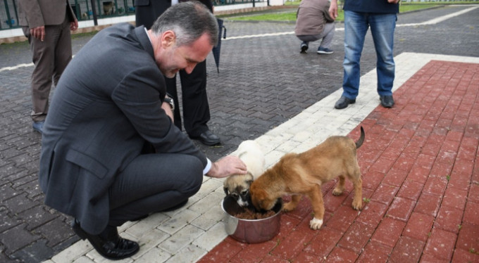 İnegöl Belediyesi 7 bin 700 can dostuna şifa oldu