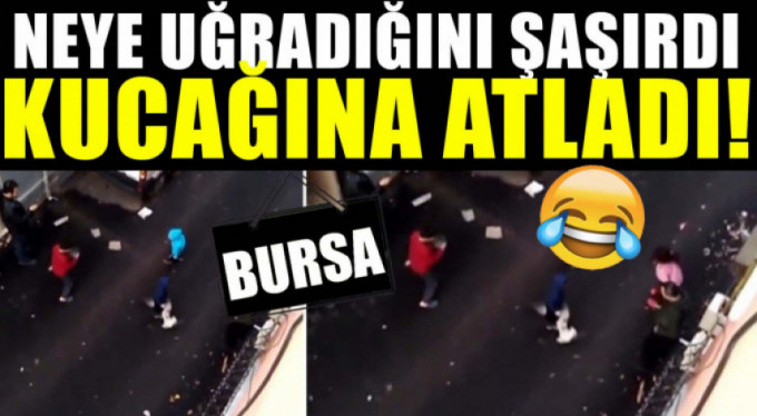 Kedilerin ortasında kaldı ne yapacağını şaşırdı