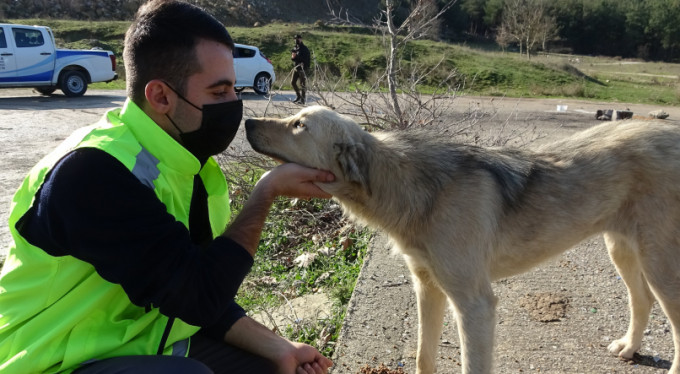 Kısıtlamayı fırsata çevirdiler