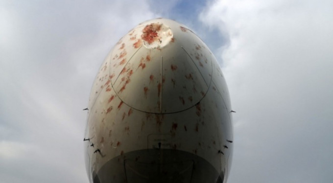 Kuş sürüsüne giren THY uçağı acil iniş yaptı