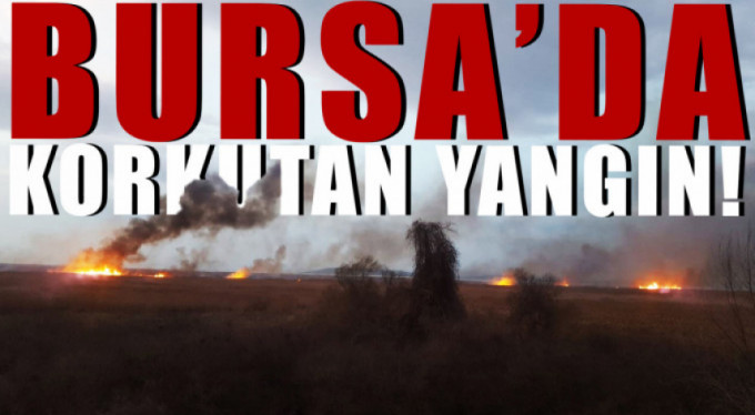 Bursa'da korkutan yangın