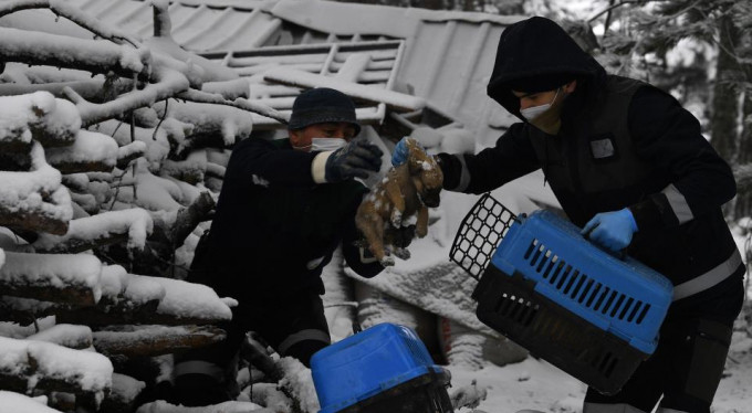 Yavru köpekler donmaktan son anda kurtarıldı