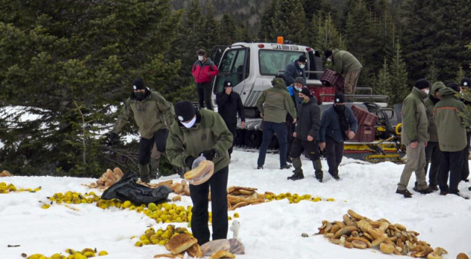 Yaban hayat unutulmadı...