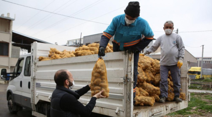 Nilüfer Belediyesi'nden patates üreticisine destek